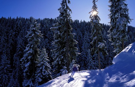 Switzerland, region of Bern (Bernese Oberland), Saanenland, ski run in Gstaad