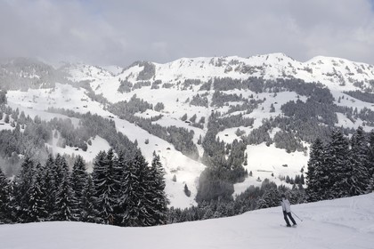 Switzerland, Canton of Vaud, Villars sur Ollon - Gryon ski area