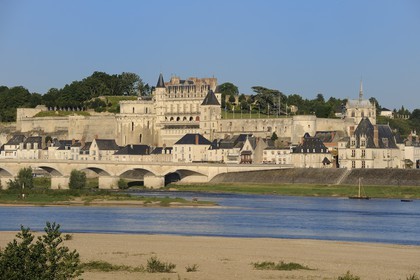 France, Indre et Loire (37), Vallée de la Loire classée Patrimoine mondial de l'UNESCO, château d'Amboise surplombant la Loire