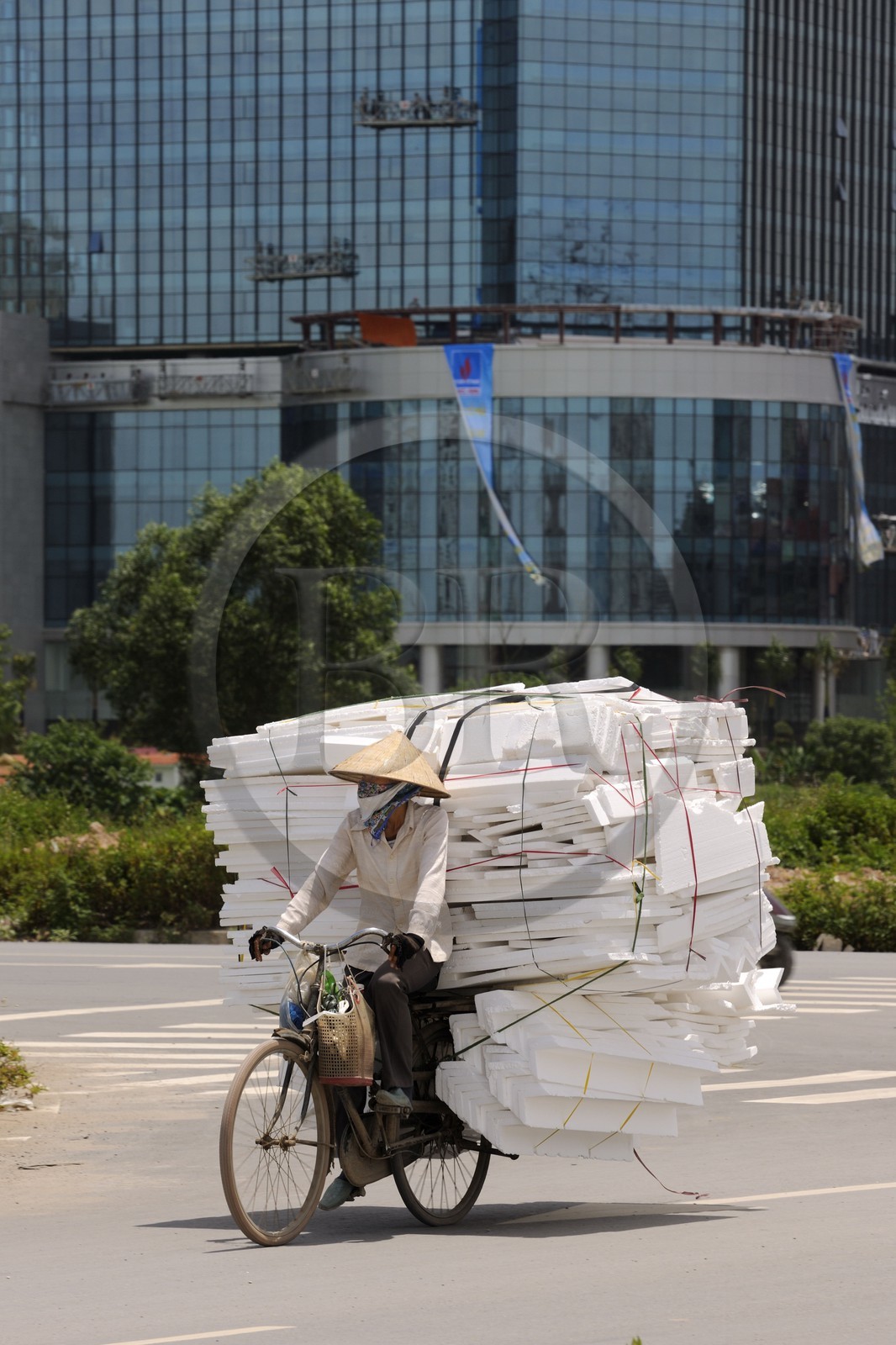 Vietnam, Hanoï, nouveau quartier de Cau Giay, cycliste transportant du polystyrène
