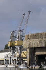 France, Loire-Atlantique (44), port de Saint-Nazaire, grues du grand bassin