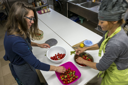 France, Vaucluse, Sarrians, Domaine de l'Oiselet, preparation of homemade strawberry sorbet