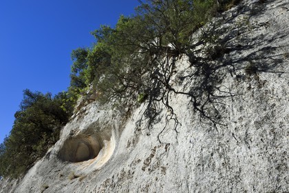 Var (83) rive gauche et Alpes-de-Haute-Provence (04) rive droite, Parc Naturel Régional du Verdon, Basses Gorges du Verdon en aval du lac de Sainte Croix, gorges de Baudinard, cavités creusées par le Verdon à l'ère glaciaire