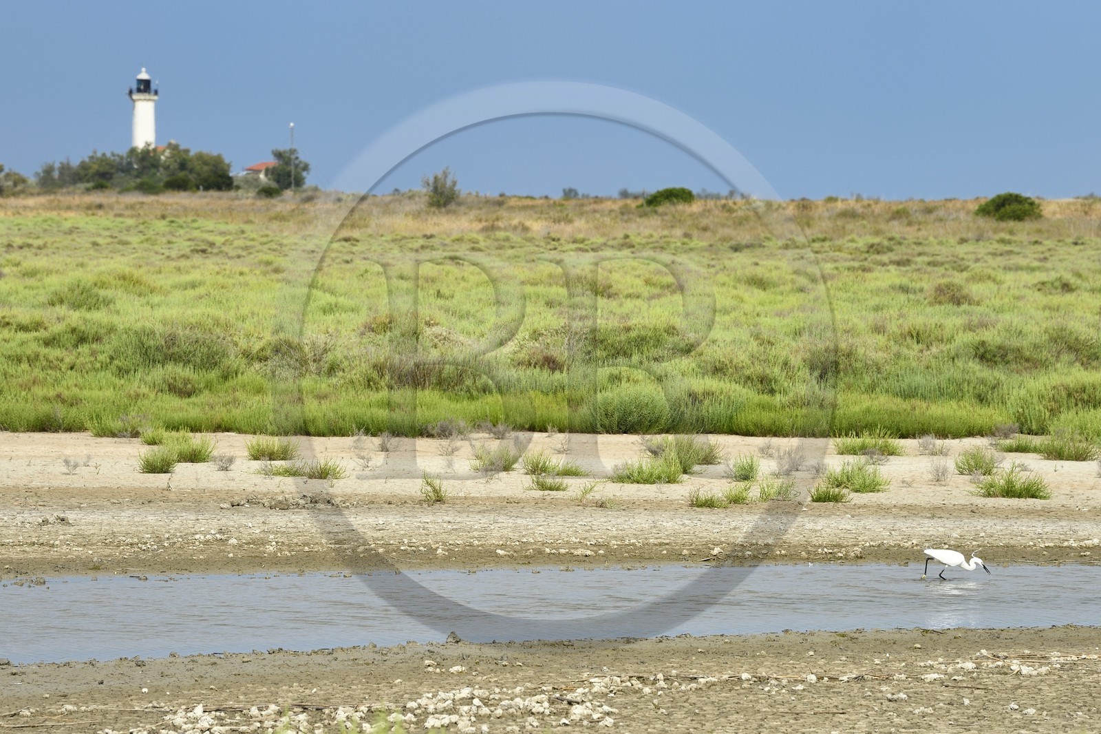 France, Bouches-du-Rhône (13), Parc naturel régional de Camargue, l’étang du Tampan, Aigrette garzette (Egretta garzetta) et le phare de la Gacholle France, Bouches-du-Rhône (13), Parc naturel régional de Camargue, l’étang du Tampan, Aigrette garzette (Egretta garzetta) et le phare de la Gacholle