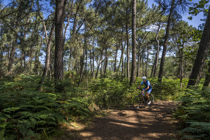 France, Côtes d'Armor (22), Grand Site de France Cap d'Erquy – Cap Fréhel, Sables-d'Or-les-Pins à Fréhel, cycliste sur le chemin de Grande Randonnée GR34 dans la  forêt de chêne et pins à l'Est de Sables d'Or