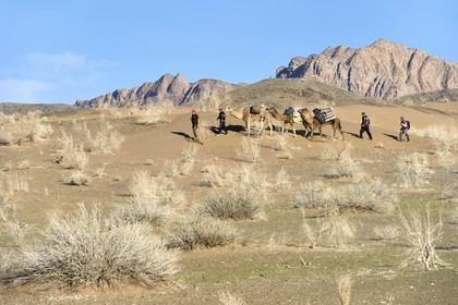 Iran, Isfahan province, Dasht-e Kavir desert, Mesr in Khur and Biabanak County, camel train in a camel trek