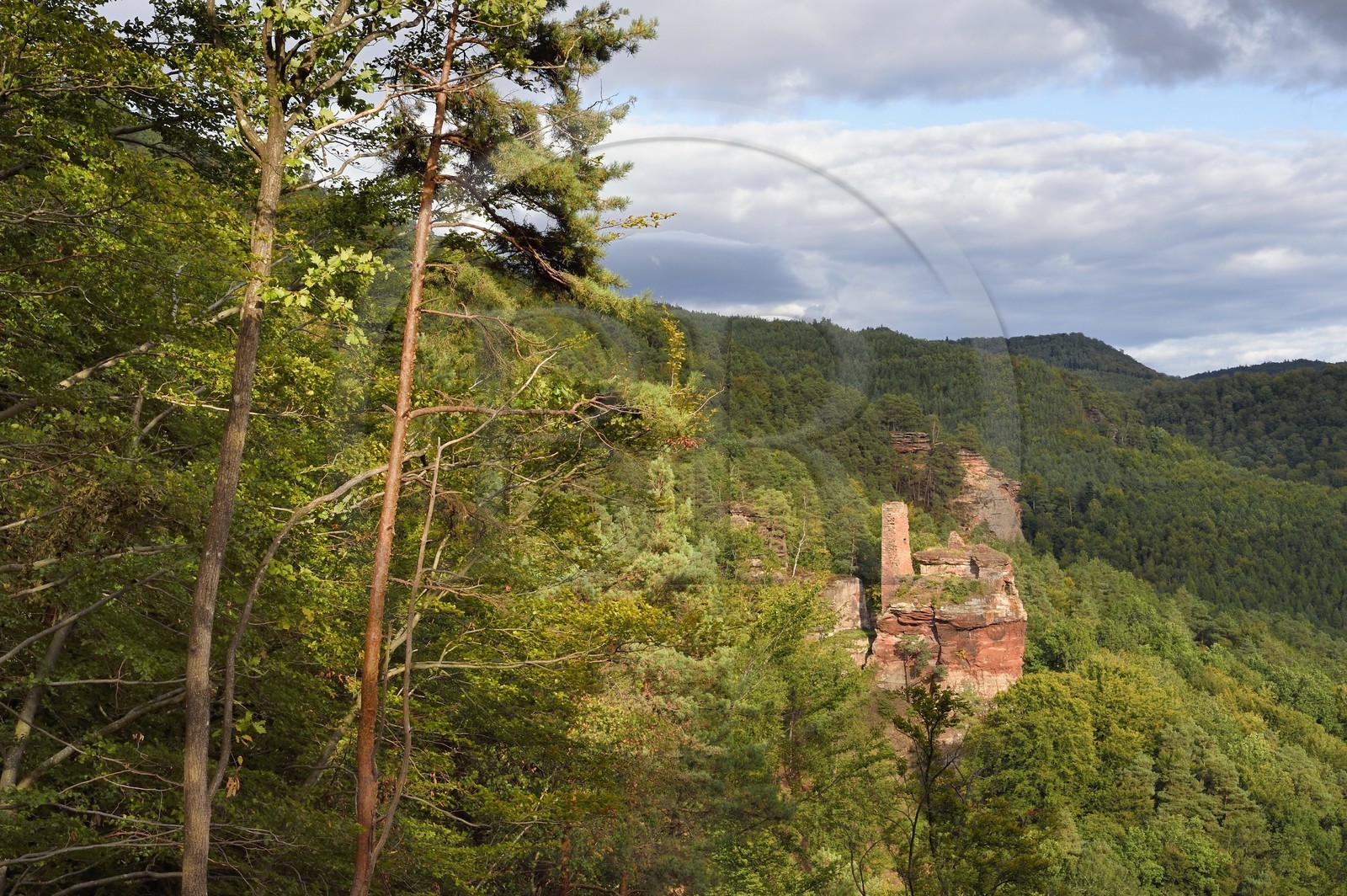 France, Bas-Rhin (67), Parc naturel régional des Vosges du Nord, Obersteinbach, foret domaniale de Steinbach, les ruines du chateau du Petit-Arnsberg perché sur un rocher de grès