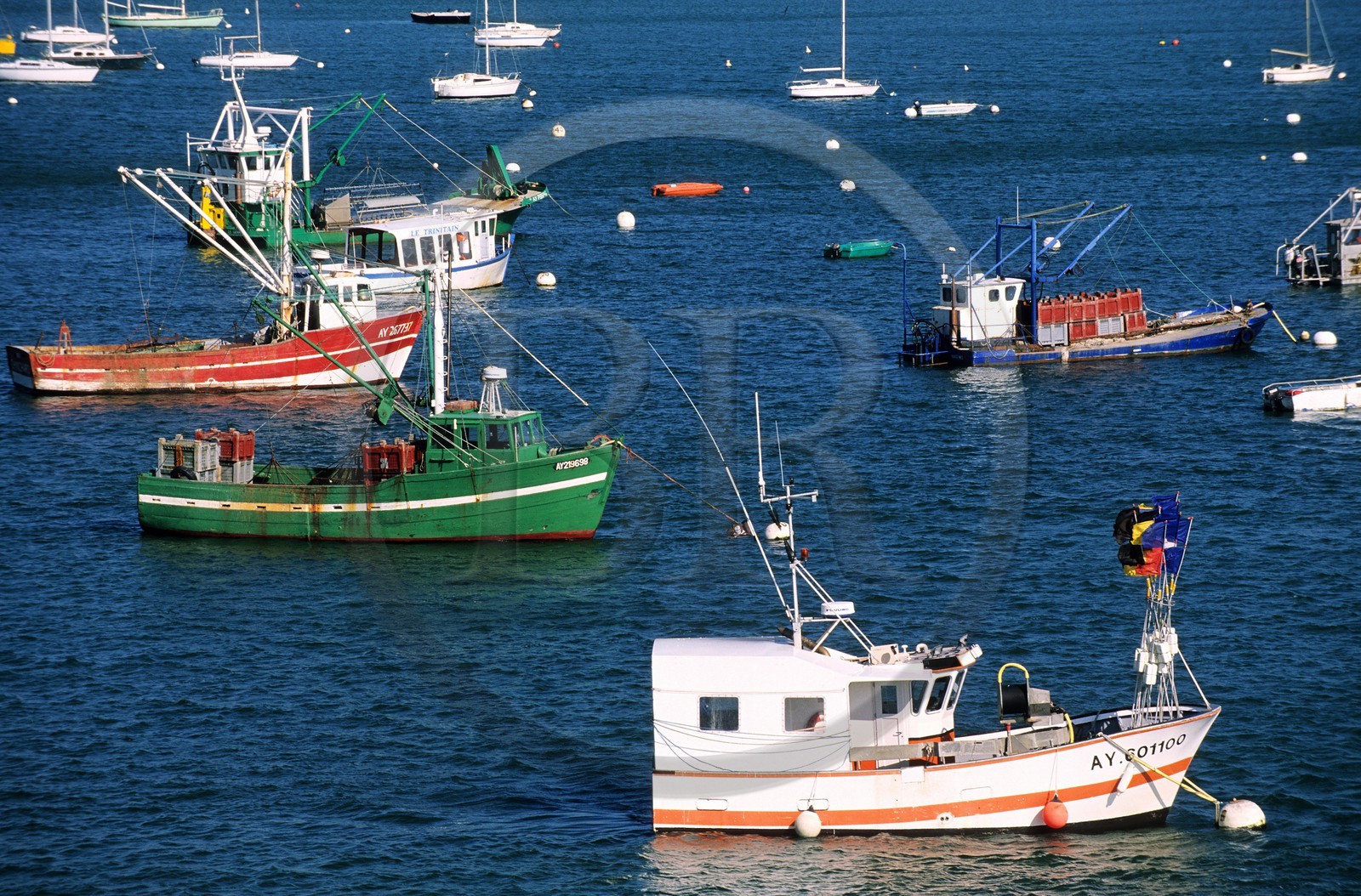 France, Morbihan, Quiberon Bay, La Trinite, fishing boats on the mouth of the Crach river