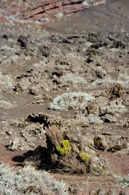 France, Reunion island (French overseas department), Piton de la Fournaise, listed as World Heritage by UNESCO volcano, Plaine des Sables