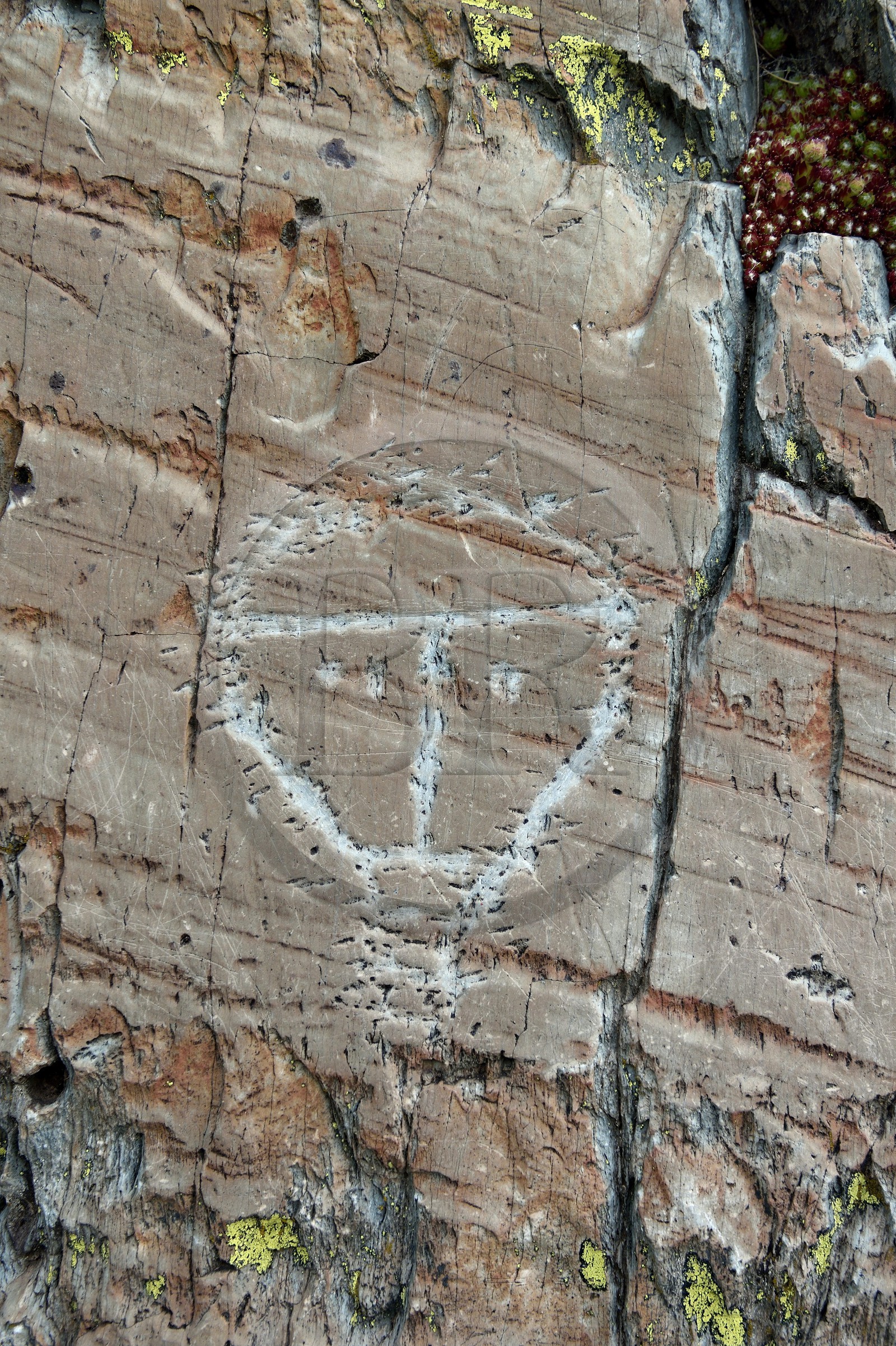 France, Alpes-Maritimes, parc national du Mercantour (Mercantour National Park), the Vallee des Merveilles (Valley of Wonders) scattered with thousands of rupestral engravings of the Bronze Age, hornlike anthropomorphized figure engraved on the so called rock of the Christ