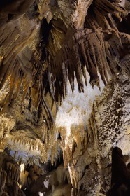 France, Dordogne, Perigord Vert, Villars, Villars Cave, concretions in caves, fistulas in white and stalactites