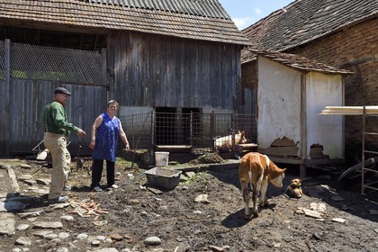 Roumanie, Transylvanie, région de Sighisoara, village de Movile, couple de fermiers dans leur cour