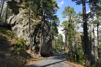 France, Haute Corse, Corte, Restonica valley