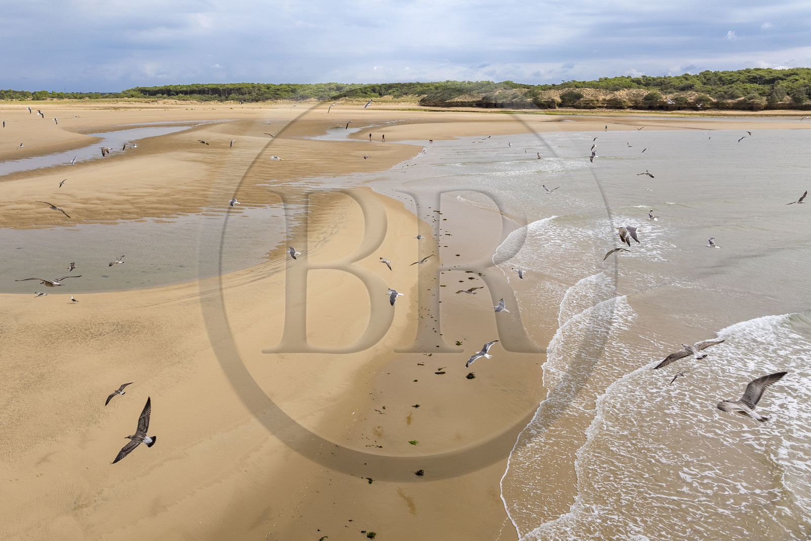 France, Vendée (85), Talmont-Saint-Hilaire, la Pointe du Payré, promeneurs et mouettes sur la plage du Veillon et estuaire de la rivière Payré (vue aérienne)