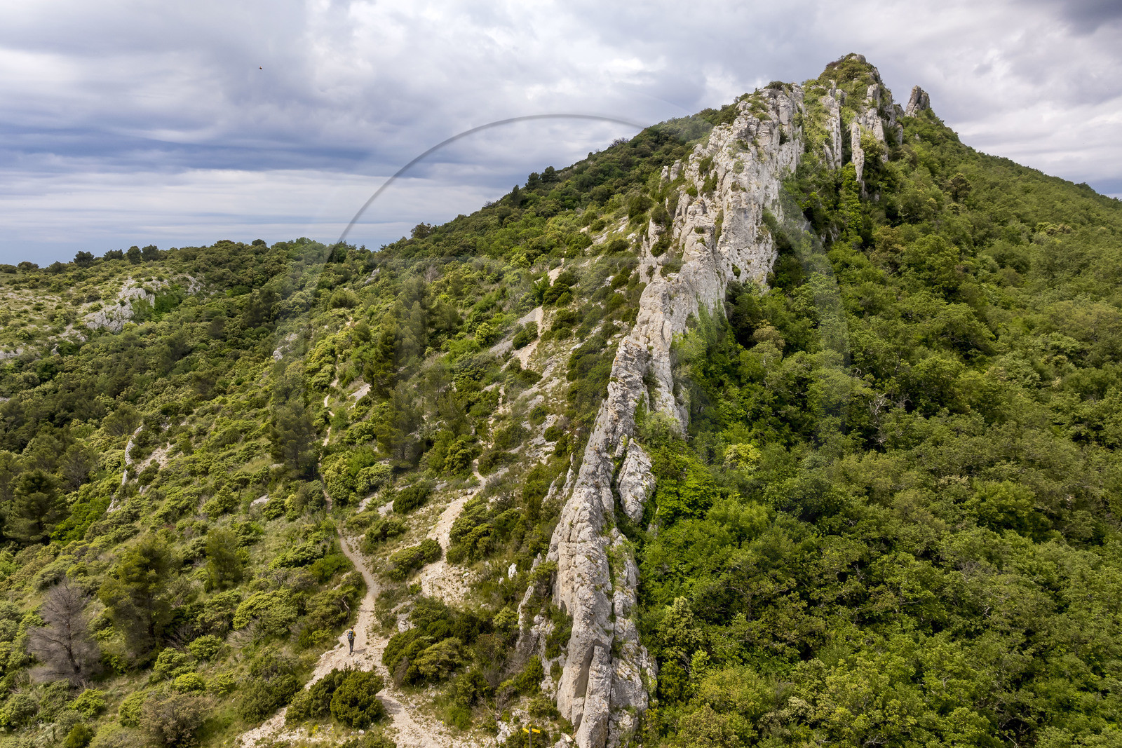 France, Vaucluse (84), Dentelles de Montmirail, randonneur sur les crêtes de Saint-Amand à la Pousterle aussi appelé le Pas du Loup sur le GR 4