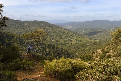 France, Var, Massif des Maures, Collobrières, Lambert menhirs hiking, hiker above the gouffre du Desteou