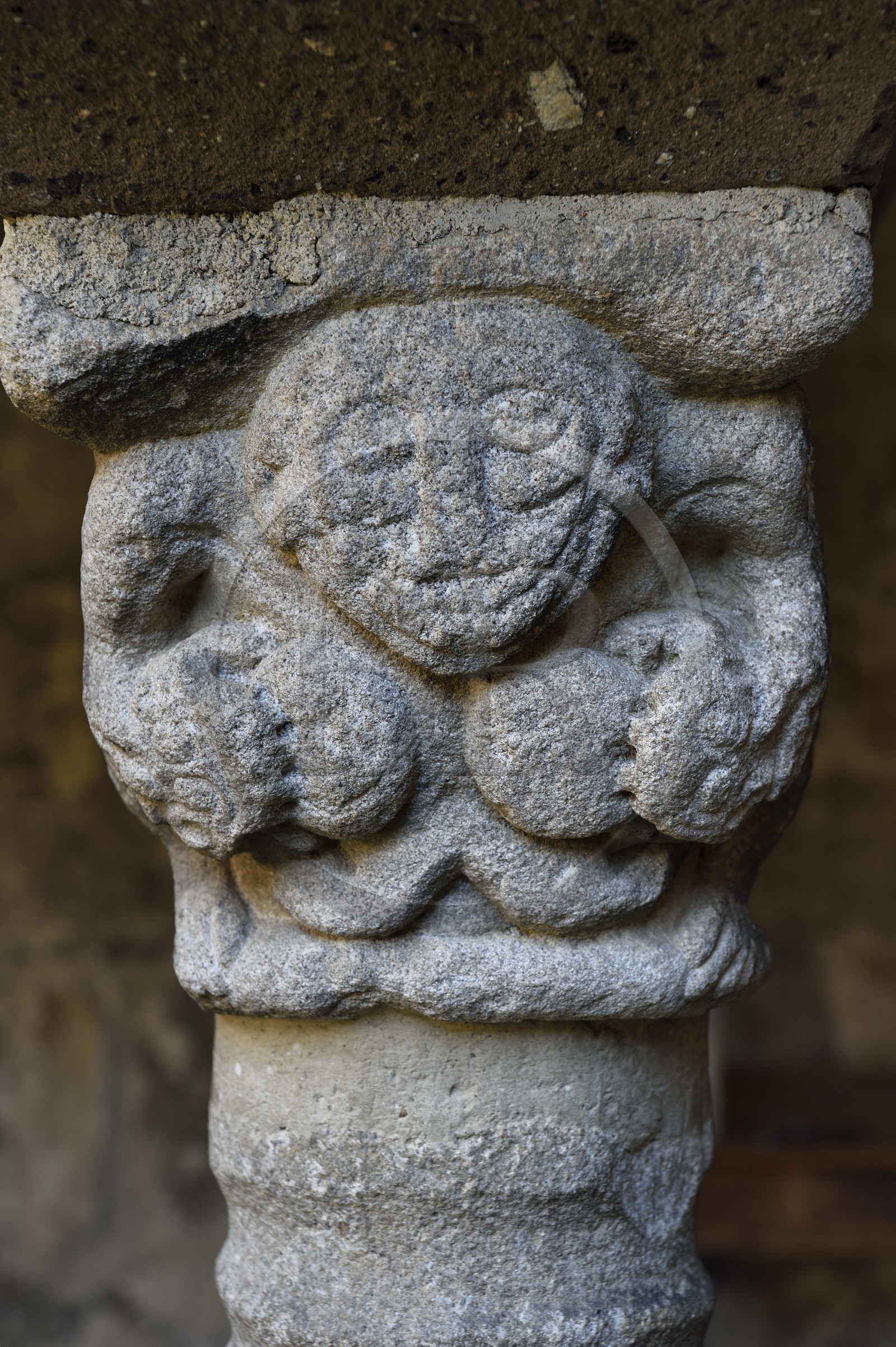 France, Haute Loire, Lavaudieu, labelled Les Plus Beaux Villages de France (The Most Beautiful Villages of France), the former Saint Andre (St Andrew) abbey church in Auvergne Romanesque style, sculpture of a capital of the cloister, an evocation of lust with a woman suckled by salamanders