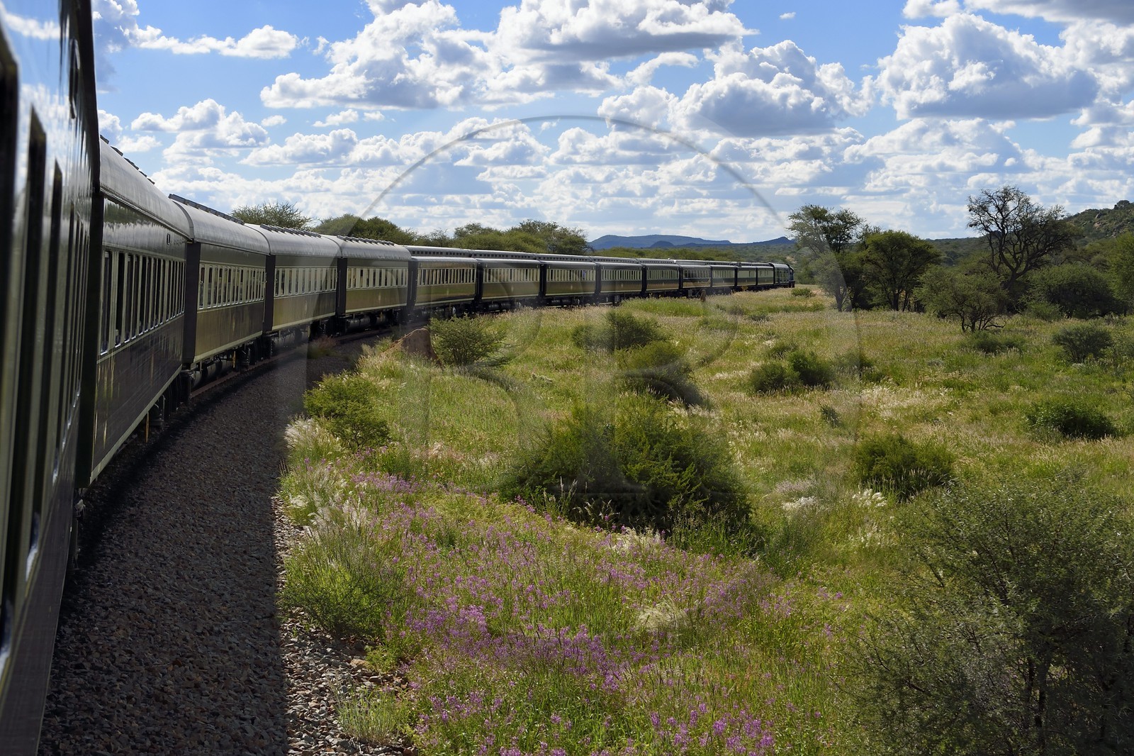 Namibie, région de Otjozondjupa, le train Shongololo express traversant le bush namibien