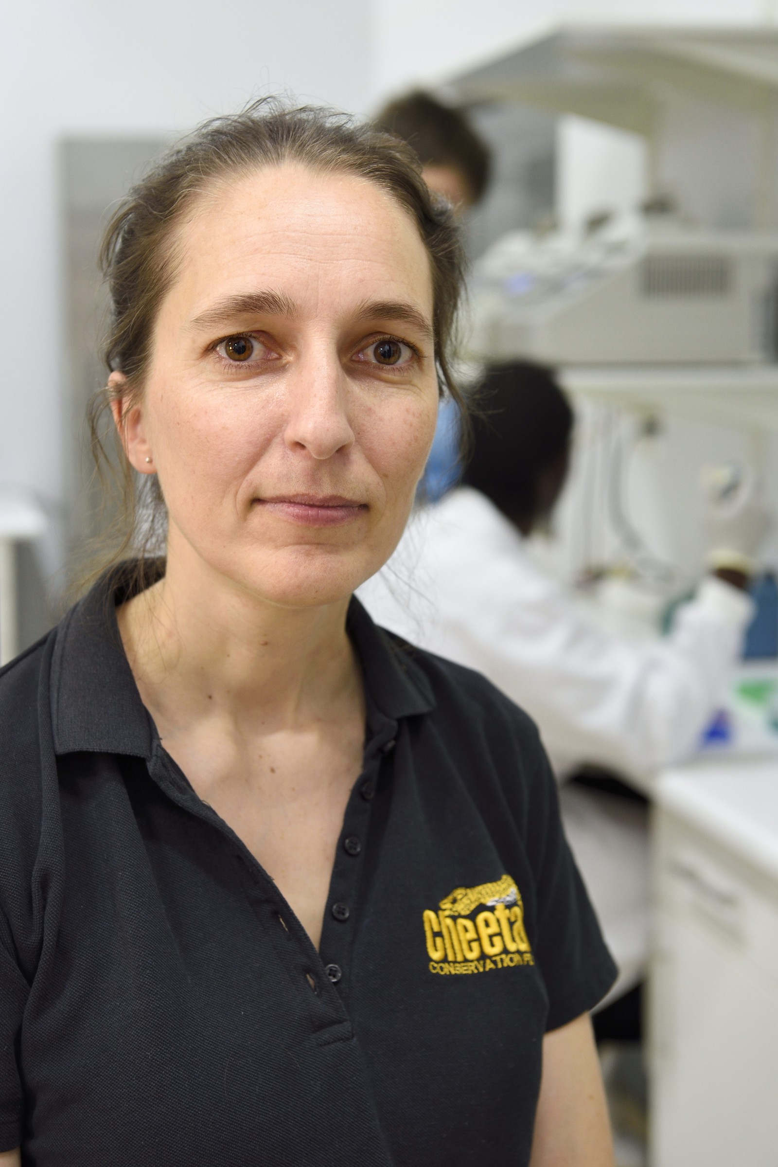 Namibie, Otjiwarongo, Cheetah Conservation Fund, centre de recherche et d'éducation, Anne Schmidt-Küntzel, DVM, PhD., assistante directeur pour la santé animale et la recherche, gère le laboratoire de génétique et supervise le cabinet vétérinaire