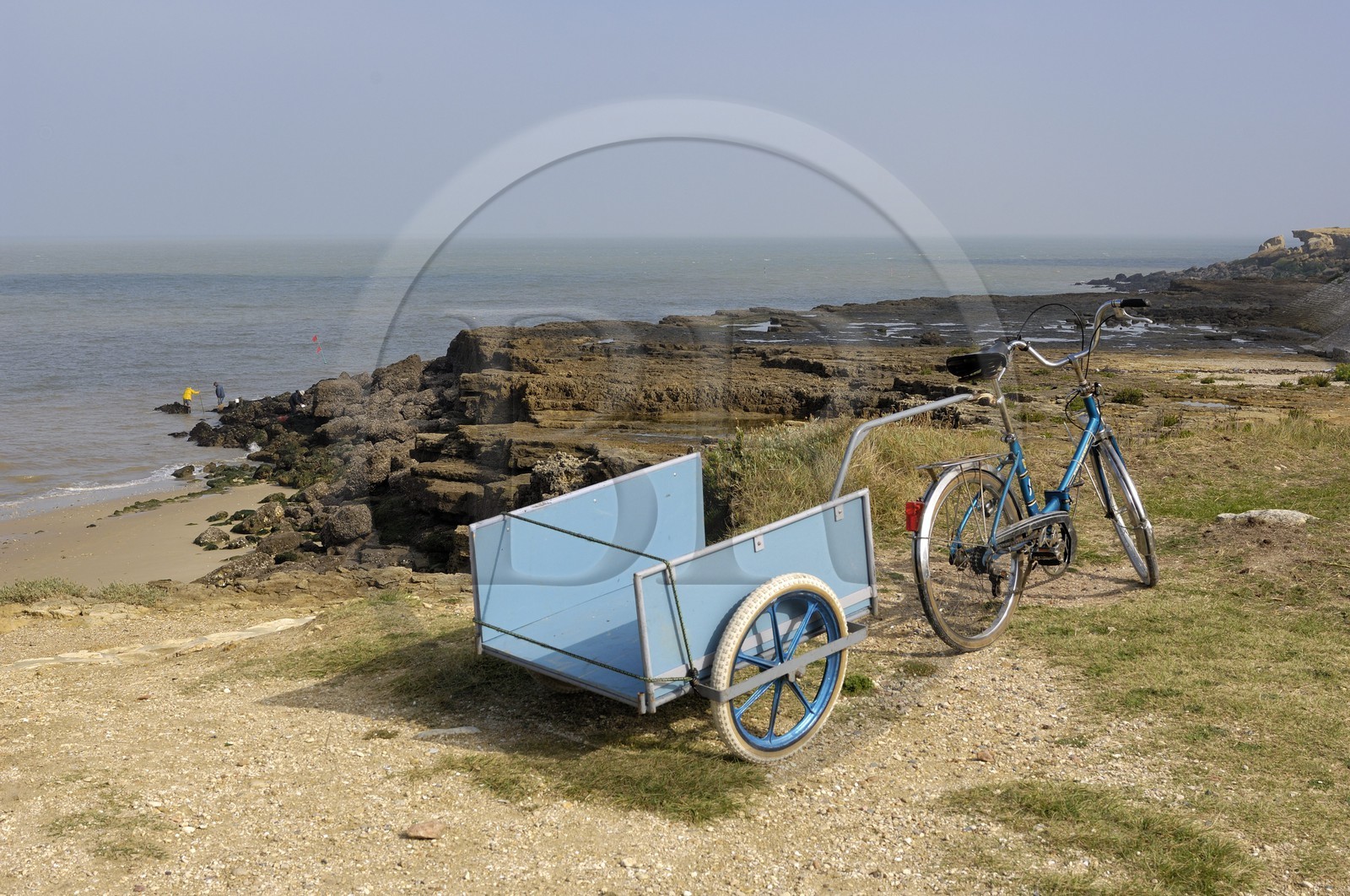 France, Charente-Maritime (17), Ile d'Aix, pointe du Parc