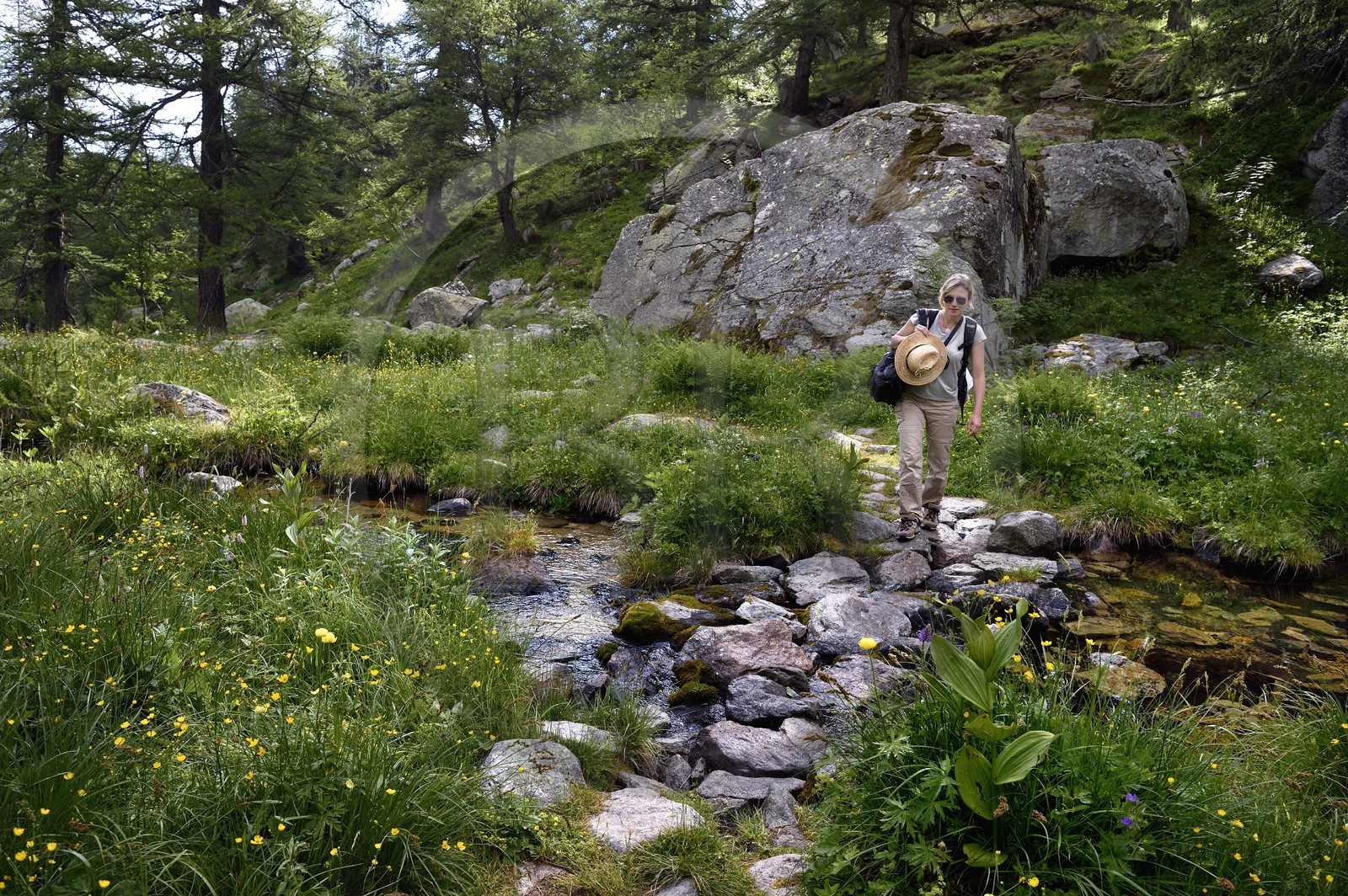 France, Alpes-Maritimes, parc national du Mercantour (Mercantour National Park), vallon de la Minière (Miniere valley) below the Vallee des Merveilles (Valley of Wonders)