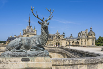 France, Oise, Chantilly, the castle of Chantilly and the Condé museum, terrace of the Constable, seated deer work of the sculptor Auguste Cain