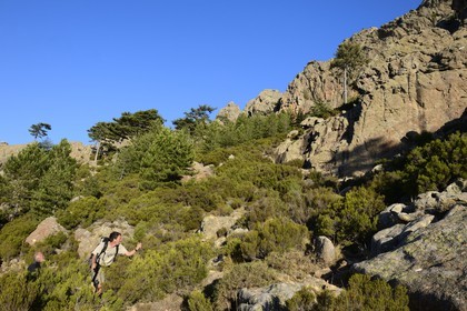 France, Corse-du-Sud (2A), Alta Rocca, Aiguilles de Bavella, randonneurs sur la variante alpine de l'étape du GR 20
