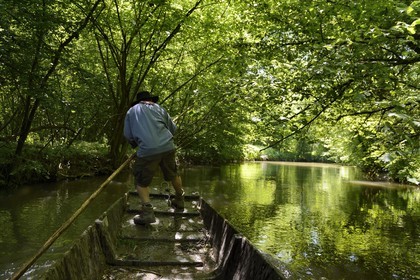 France, Bas-Rhin (67), région d'Ebersmunster et Muttersholtz, le Grand Ried, le batelier Patrick Unterstock dans une barque à fond plat en bois sur la rivière l'Ill
