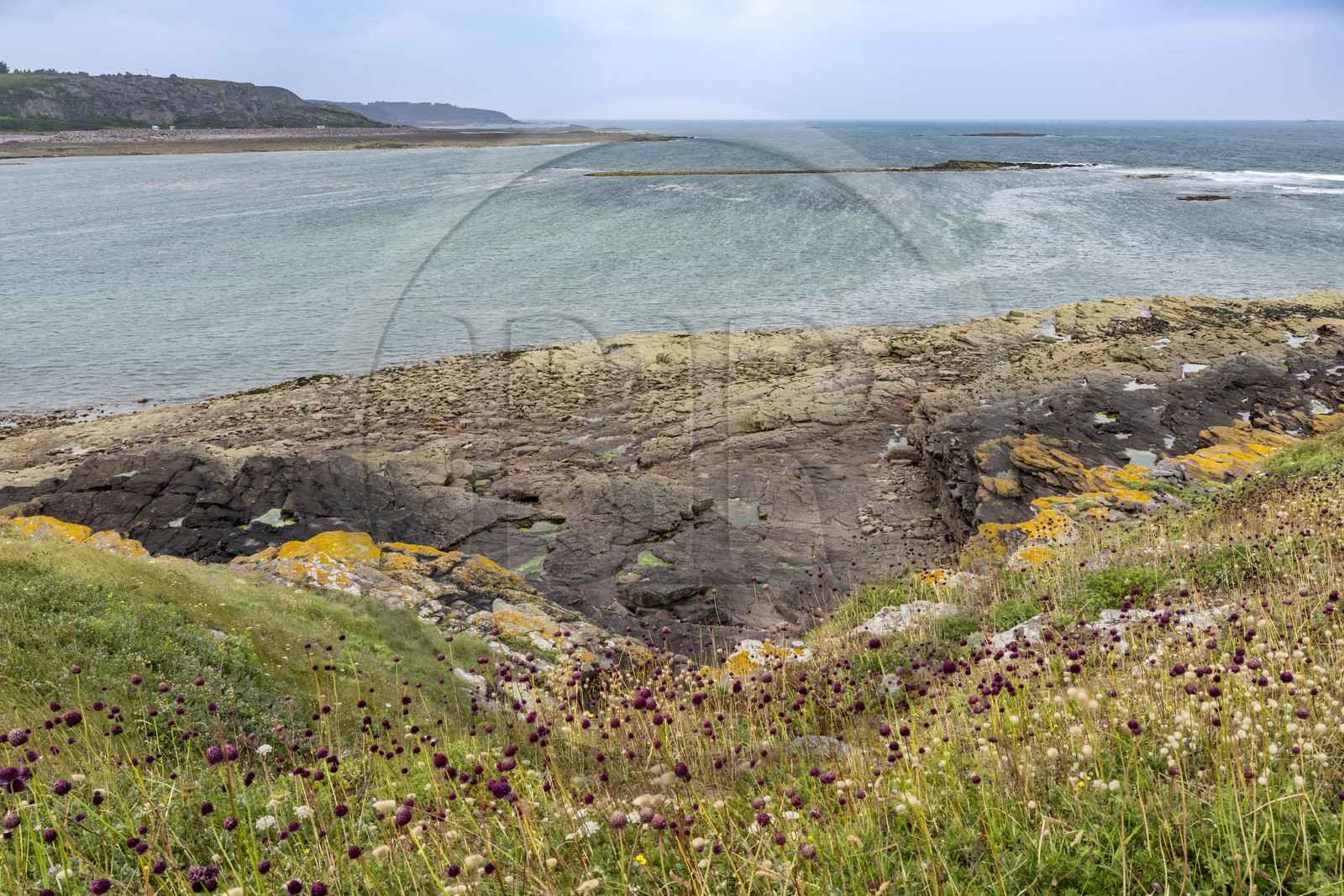 France, Côtes d'Armor (22), Grand Site de France Cap d'Erquy – Cap Fréhel, Erquy, côte de l'Ilot Saint-Michel