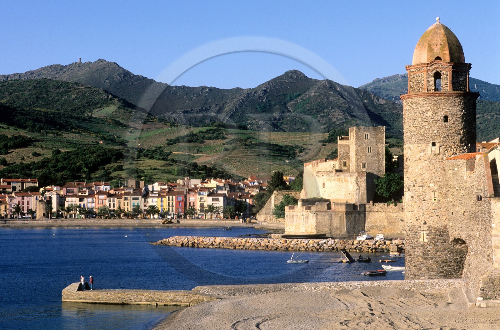 France, Pyrénées-Orientales (66), Collioure, Notre-Dame-des-Anges et le château royal