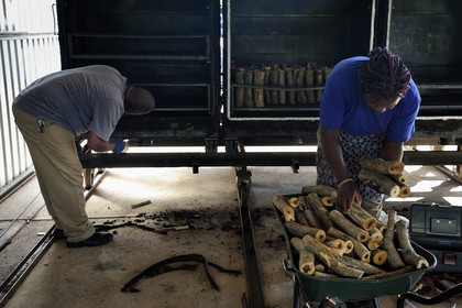 Namibie, Otjiwarongo, Cheetah Conservation Fund, centre de recherche et d'éducation, CCF BUSH Pty Ltd fabrique des briquettes de bois comme projet pilote pour explorer une stratégie visant à améliorer l'habitat du guépard par l'enlèvement des épais buissons qui prolifèrent dans le bush, Bushblock