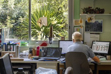 France, Alpes-Maritimes, Antibes, The Botanical Garden of Villa Thuret (attached to INRAE), labeled Jardin Remarquable (Outstanding Garden) and Remarkable Tree, one of the research laboratories in the villa