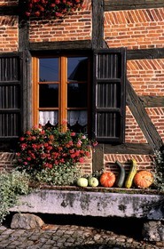 Belgique, Wallonie, Villers-sur-Lesse, façade de ferme en brique
