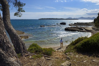 France, Alpes-Maritimes, Lerins Islands, Sainte-Marguerite island, the south coast facing the Saint-Honorat island, the Esterel Mountains in the background
