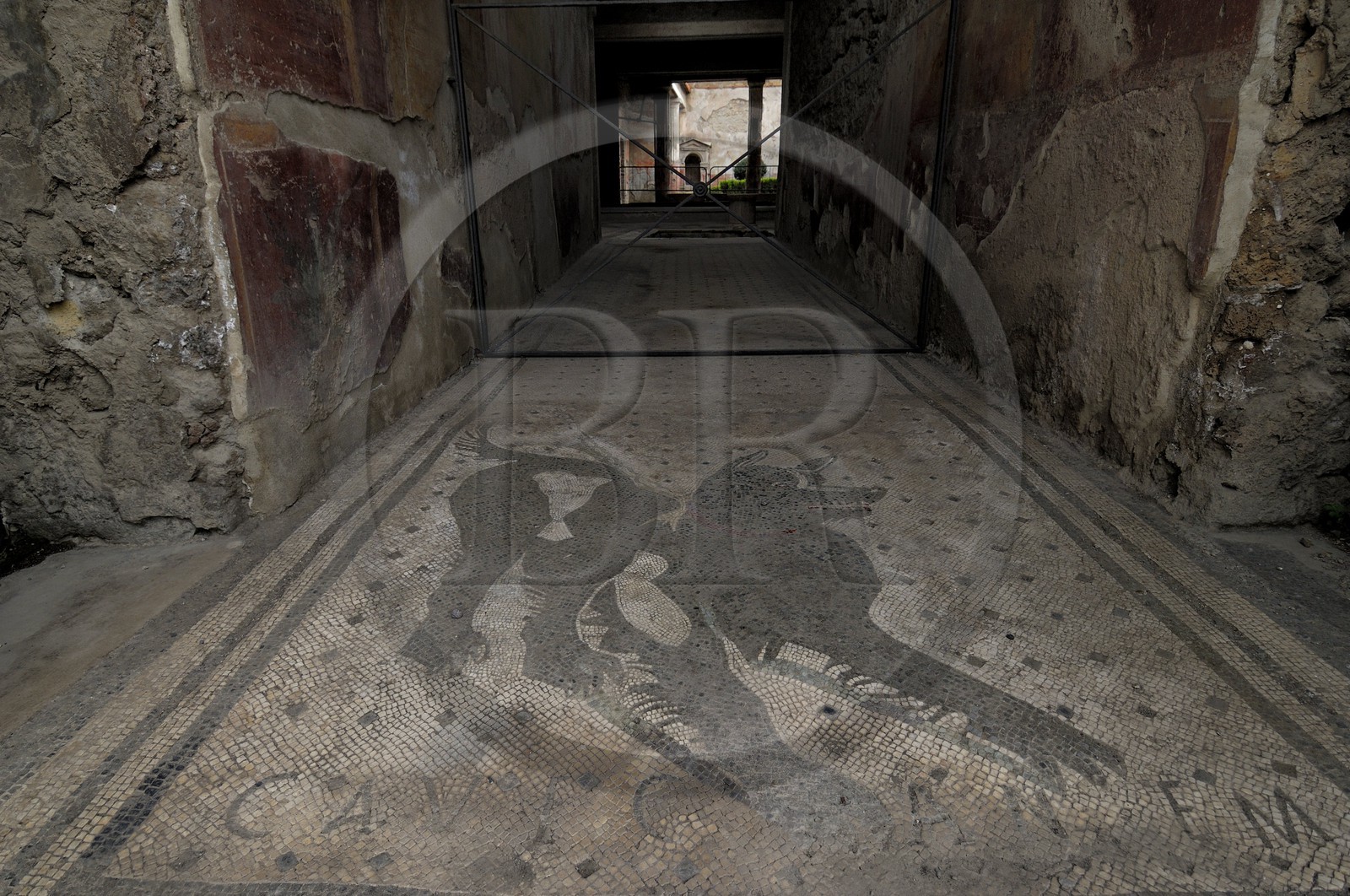 Italie, Campanie, Pompei, site archéologique classé Patrimoine Mondial de l'UNESCO, maison du Poète Tragique, la mosaïque Cave Canem (attention au chien)