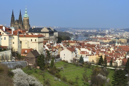 République Tchèque, Prague, Hradcany (quartier du chateau) dominé par la cathédrale Saint-Guy à gauche et le quartier de Mala Strana à droite, la rivière Vltava en arrière plan