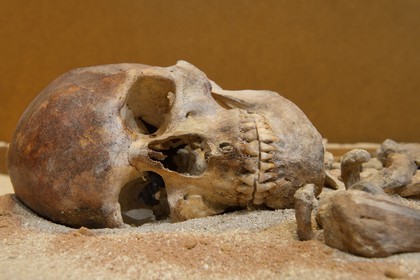 France, Corse du Sud, Alta Rocca, village of Levie, Alta Rocca Museum, the Lady of Bonifacio, the oldest human Mesolithic remains from Corsica (6570 BC)