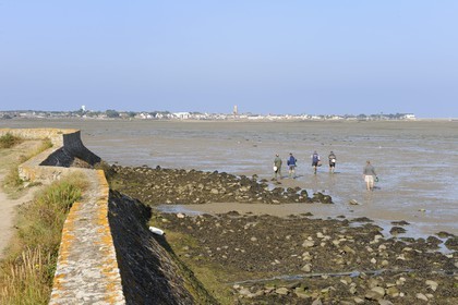 France, Loire-Atlantique (44), la Presqu'île de Guérande, pêche à pied avec Le Croisic au fond