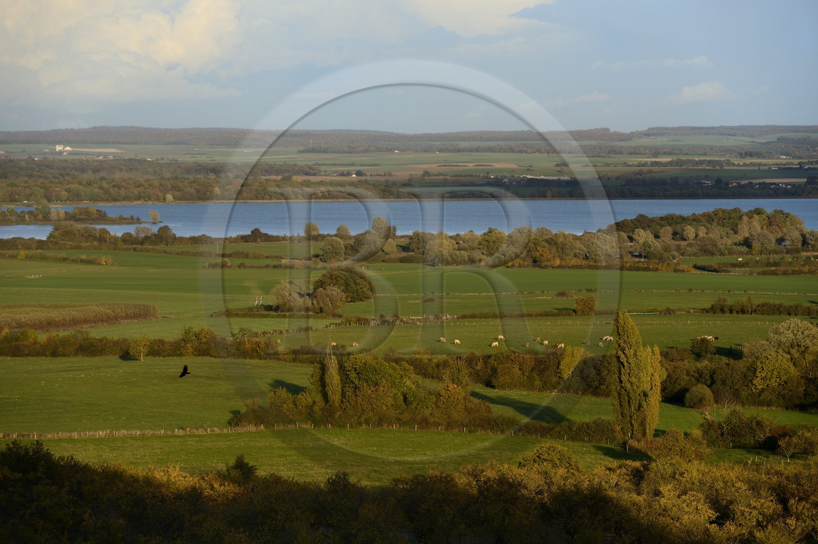 France, Meuse (55), Parc régional de Lorraine, Cotes de Meuse, la plaine de la Woëvre et le lac de la Madine en arrière plan