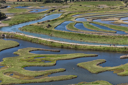 France, Vendée (85), Talmont Saint Hilaire, Guittière marshes in the hinterland of Pointe du Payré, Passage du Cul d’Ane, marshes developed for fish farming of sea bream, mullet and eels (aerial view)