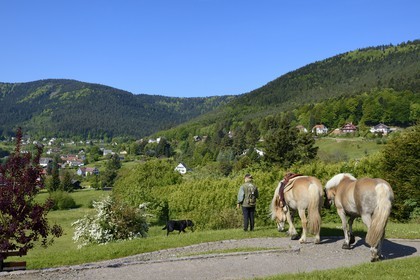 France, Bas-Rhin (67), Wangenbourg-Engenthal, le village dans le massif des Vosges