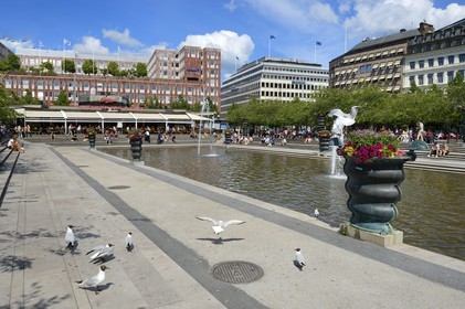 Suède, Stockholm, Kungstradgarden