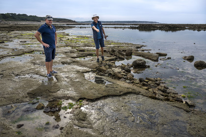 France, Vendée (85), Talmont Saint Hilaire, la Pointe du Payré, foreshore of the Veillon site at low tide, Didier Neault on the left and Jack Guichard on the right show us the tridactyl fossil traces of bipedal dinosaurs dated around 200 million years old