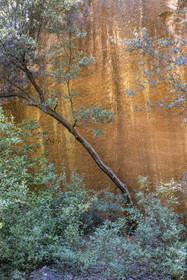 France, Bouches-du-Rhône (13), Aix en Provence, plateau de Bibemus, les carrières de Bibemus qui ont inspirées de nombreuses toiles de Cézanne