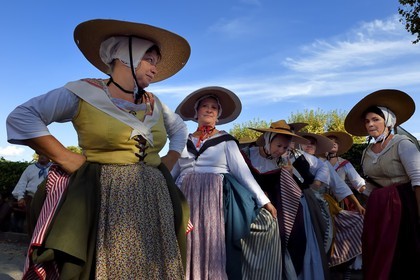 France, Var, Massif des Maures, Collobrières, group of traditional Provencal dancers and musicians at the chestnut festivals