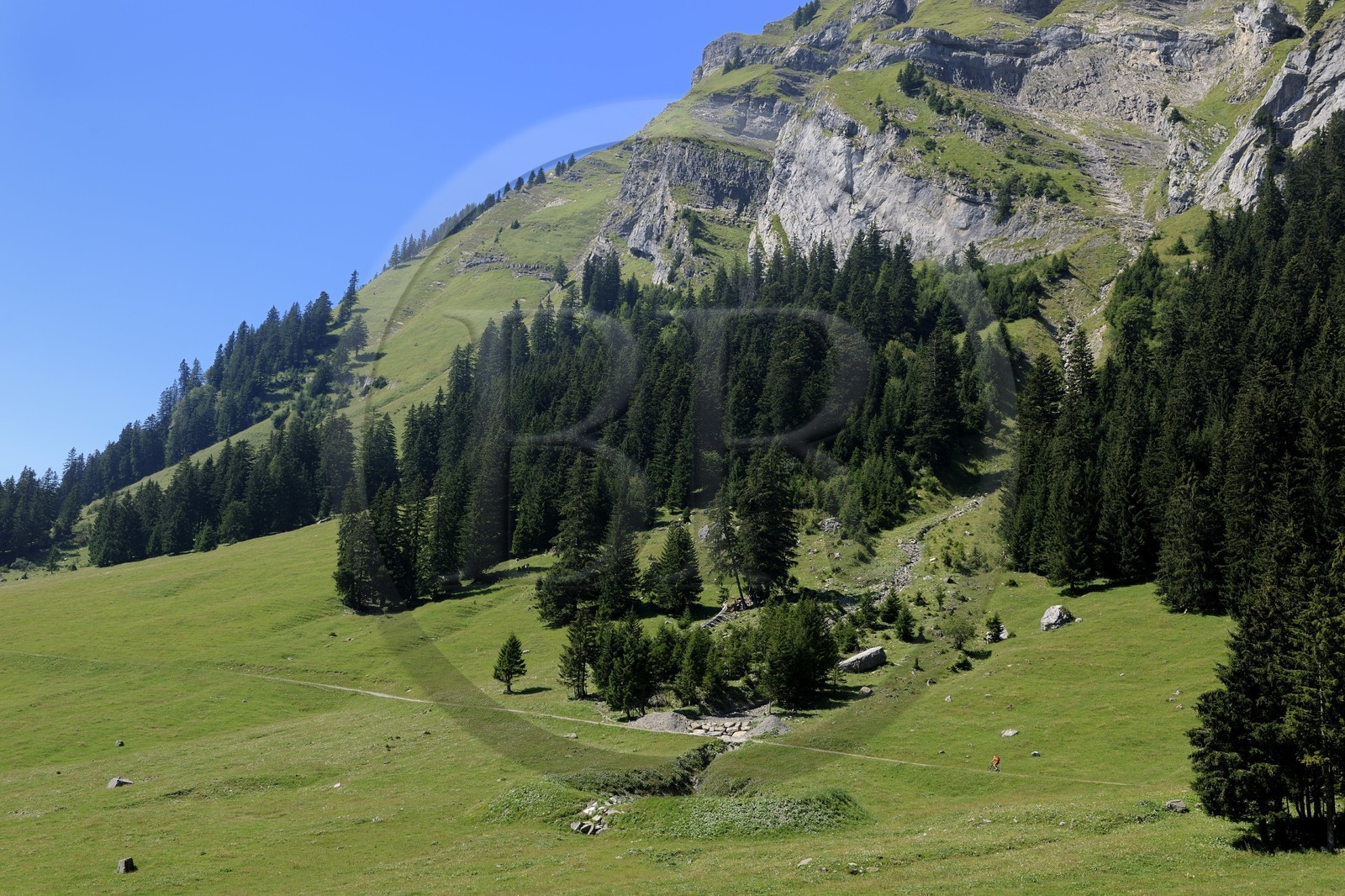 Suisse, canton de Vaud, Villars-sur-Ollon, vallée de Solalex dans le Parc naturel des Muverans