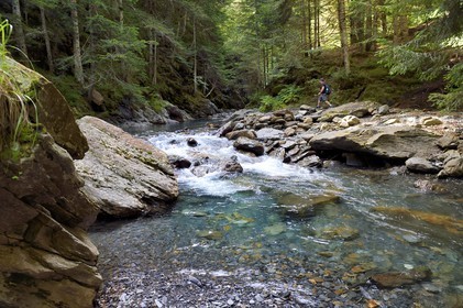 France, Hautes-Pyrénées (65), Saint-Lary-Soulan, vallée du Rioumajou, pecheur à la (rivière) Neste de Rioumajou