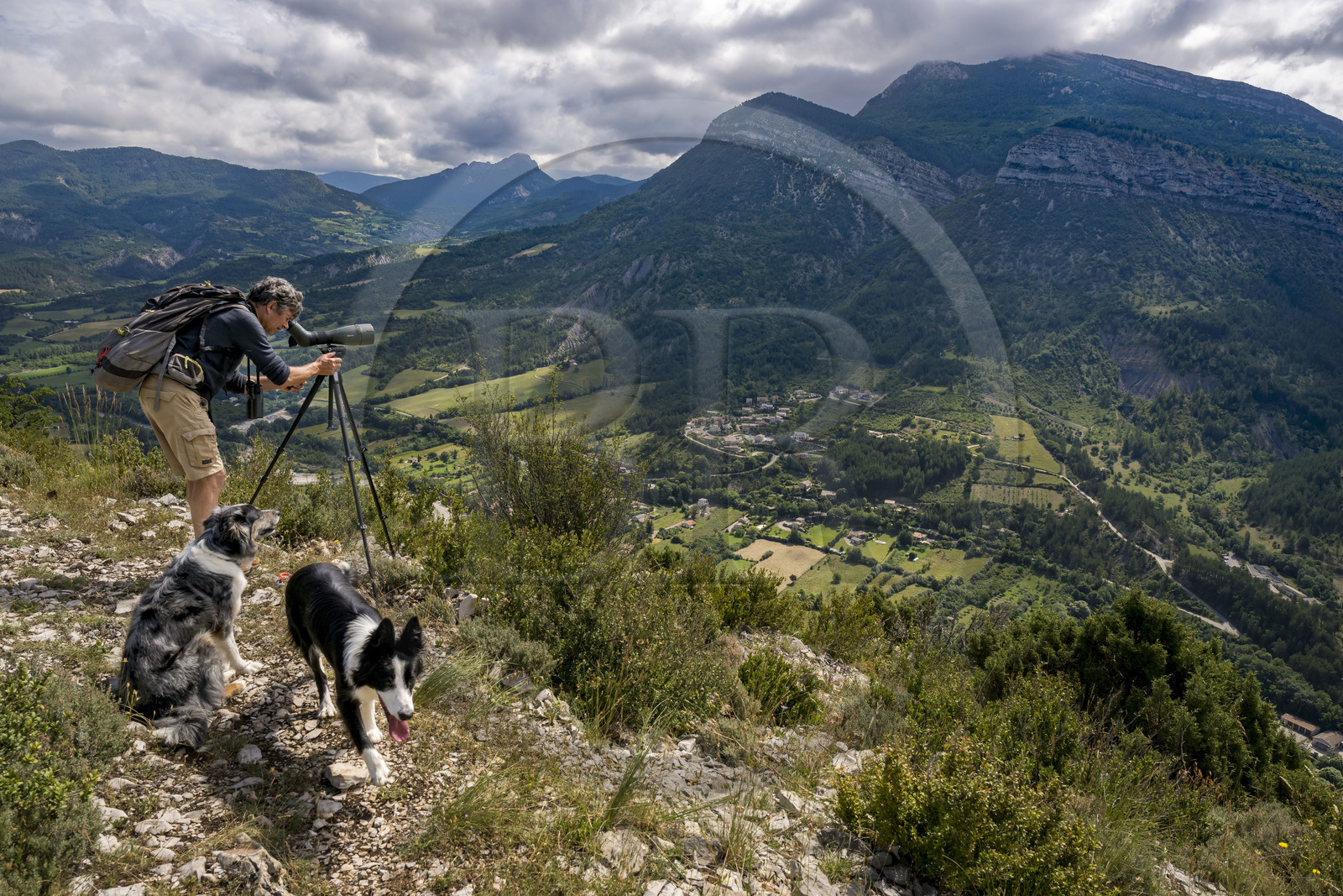 France, Drôme (26), parc naturel régional des Baronnies provençales, Rémuzat, plateau Saint-Laurent, Christian Tessier, directeur de l'association Vautours en Baronnies, observervation des vautours fauves à la longue vue au dessus de la vallée de l'Oule