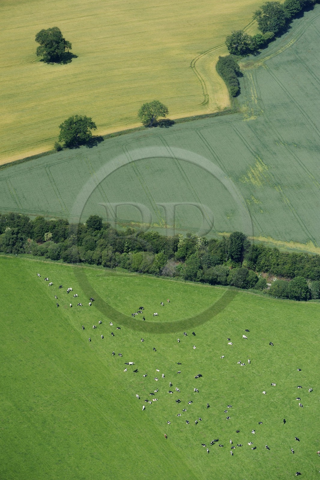 Royaume-Uni, Angleterre, Cumbrie, la campagne au sud de Penrith (vue aérienne)