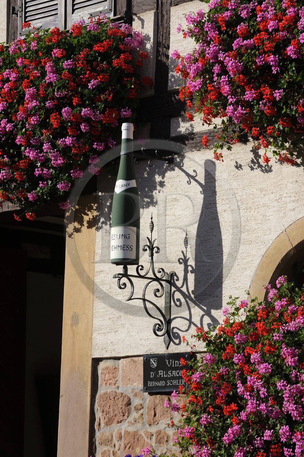 France, Bas-Rhin (67), Itterswiller, producteur de vins